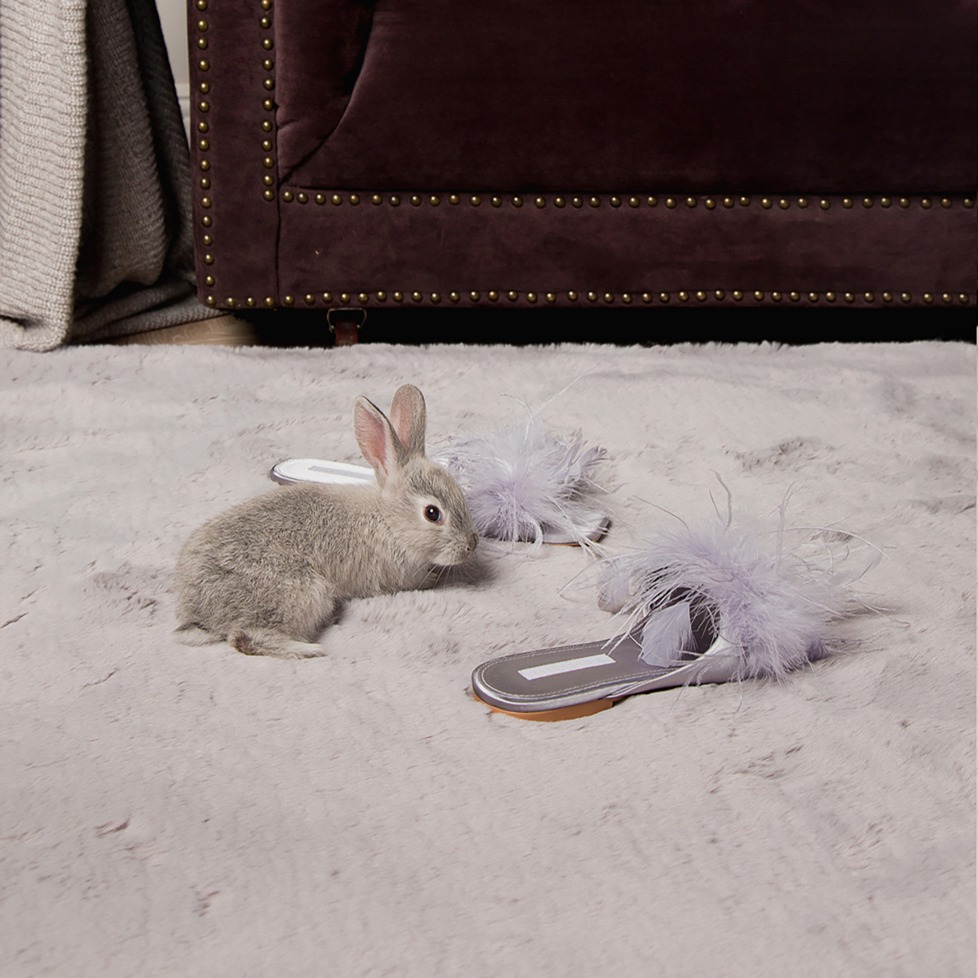 Lazurit Ковер Rabbit серый 160 x 230 lazurit ковер vison silver beige 160 x 230